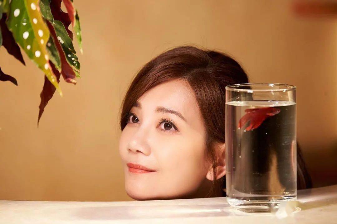 遇见 梁静茹 歌词_梁静茹金曲奖落败经历_梁静茹与李宗盛的音乐之路