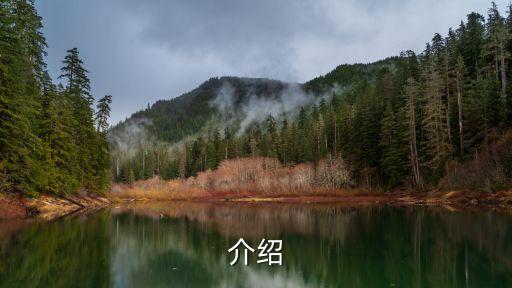 海贼王QQ浏览器皮肤，海贼王主题浏览器皮肤