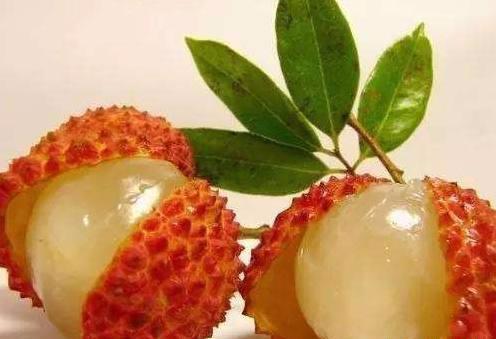 生活小技巧大全_毛巾去粘去味方法_生活应用方面的知识