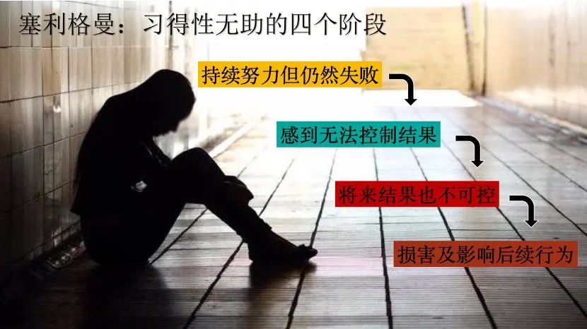 颠覆认知的思维：失败从来不是成功之母
