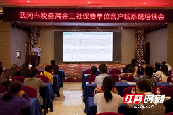 武冈税务：零余额账户电子托收业务助纳税缴费更便捷