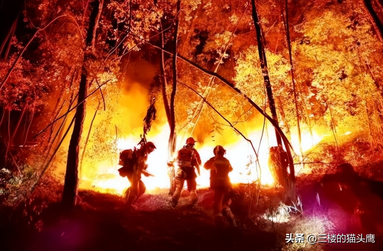 中国消防电磁炮_中国消防无人机灭火_电磁炮生活应用