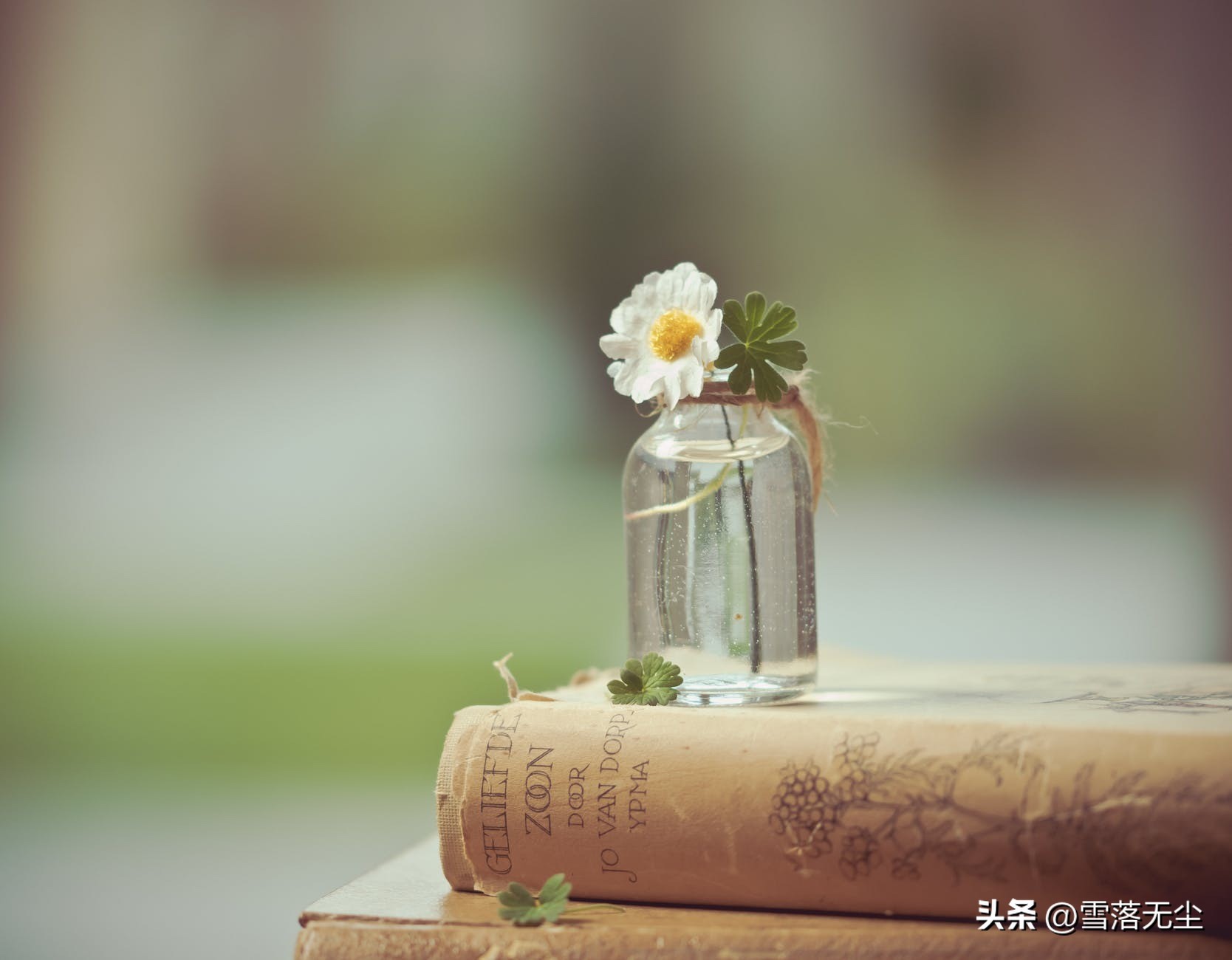 分手后，为何一直走不出来？只因有些事你还没看透