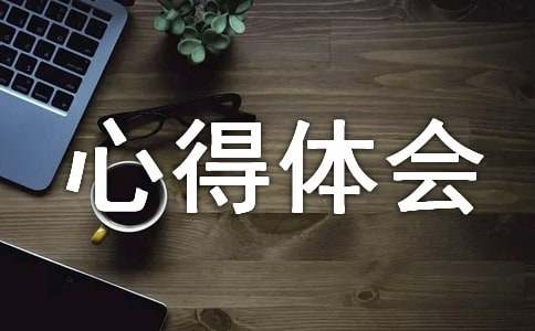 工程结算实训心得体会总结