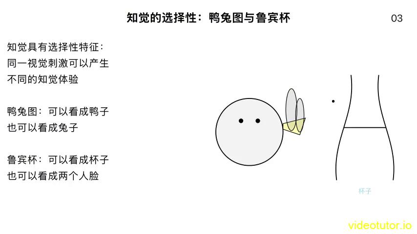 直觉自下而上加工_知觉的基本特征 生活应用_感觉与知觉加工