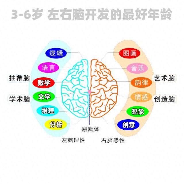 kiayun手机版登录入口 3-6岁儿童全脑开发小学生可通过左右脑训练方法提高成绩