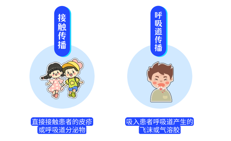 初中生水痘爆发_水痘病毒抗体_水痘大龄化趋势