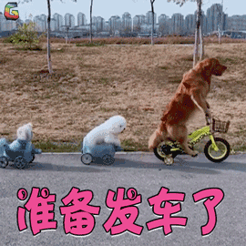 安卓缩略图在哪个文件夹_安卓手机总是下载缩略图_手机缩放下载