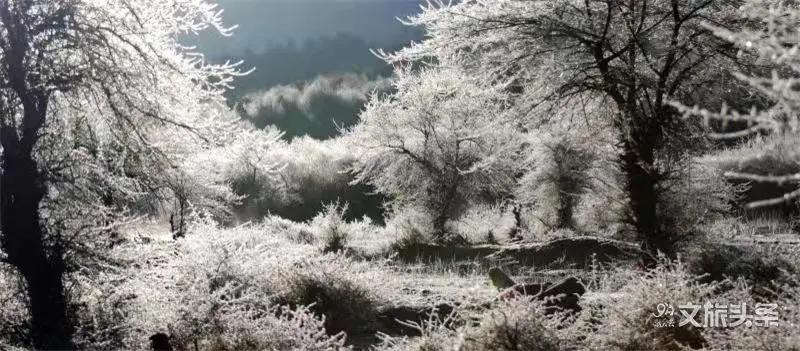 迪庆天堂之旅_香格里拉是什么意思_香格里拉心灵乌托邦