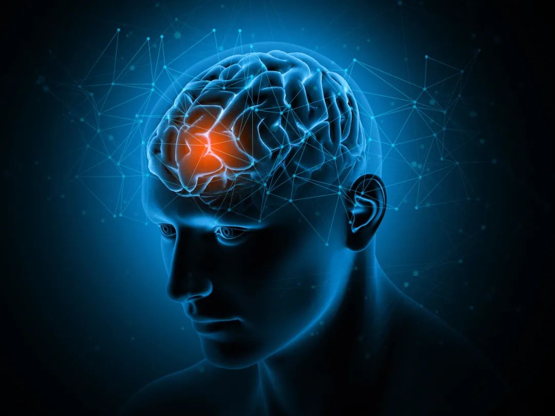 卷积在生活应用_卷积神经网络原理_卷积神经网络应用