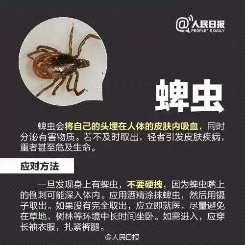 蜱虫叮咬症状_脾虫咬后的伤口图_蜱虫叮咬预防措施