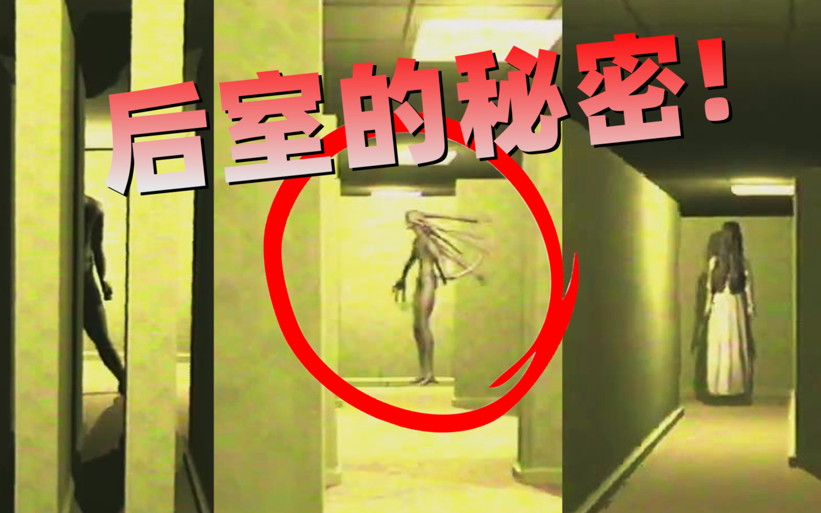后室的背后到底隐藏着什么？这些秘密你绝对不会想到！