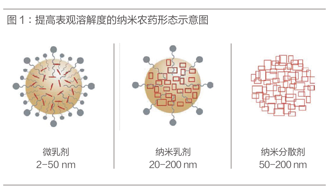 kiayun手机版登录app游戏登录入口.手机端安装.cc 纳米农药技术：农业工作者的新武器