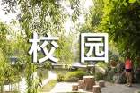 kiayun手机版登录下载 美丽校园的作文300字