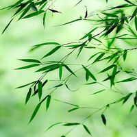 kiayun手机版登录app游戏登录入口.手机端安装.cc 200元最合适打游戏的手机