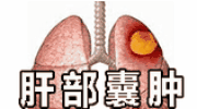 kiayun手机版登录打开即玩v1011.玩看我最新关网.中国 人形机器人扎堆，大模型卷应用，AI眼镜热闹…细数WAIC2025 黑科技