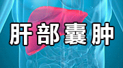 kiayun手机版登录入口 流体压强与流速，竟能让飞机飞起来？原理揭秘